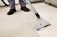 Emergency Carpet Water Damage Restoration Brisbane image 1